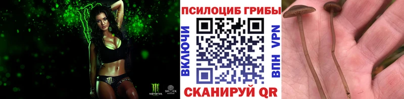 OMG ссылки  даркнет сайт  Инта  Галлюциногенные грибы мухоморы 